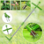 🎉Summer Clean Pre-Sale 50% OFF - Standing Weed Puller