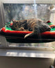 Window Mounted Cat Bed🐱Pet Holiday Sale - 50% Off