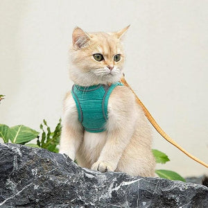Cat Vest Harness and Leash Set- 🔥Semi-Annual Sale - 50% OFF !!!