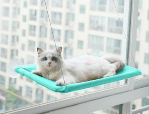 Window Mounted Cat Bed🐱Pet Holiday Sale - 50% Off