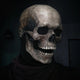 🎃50% OFF Big Sale Halloween Carnival🎃Full Head Skull Mask