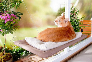 Sunny Seat Window Mounted Cat Bed