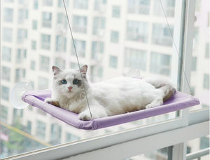 Window Mounted Cat Bed🐱Pet Holiday Sale - 50% Off