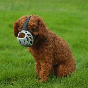 Dog Muzzle Breathable Basket Muzzles